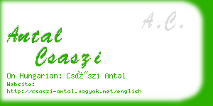 antal csaszi business card